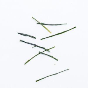 Award Winning Saemidori Gyokuro