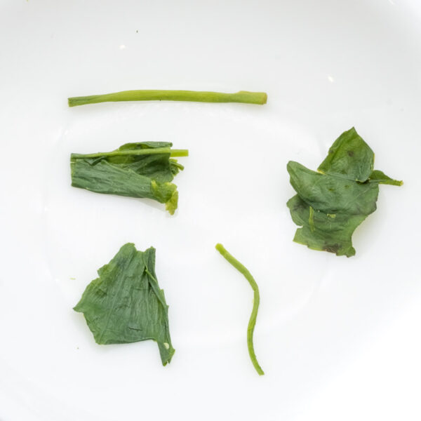Award Winning Saemidori Gyokuro - Image 2