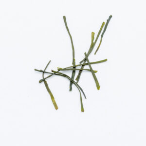 Koushun Sencha