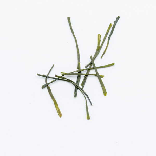 Koushun Sencha