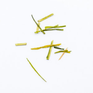 Premium White Leaf Sencha