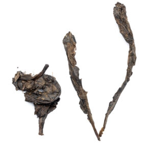 LEVITY Tibetan Dark Tea